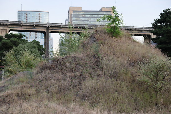 Zidell Field North 318