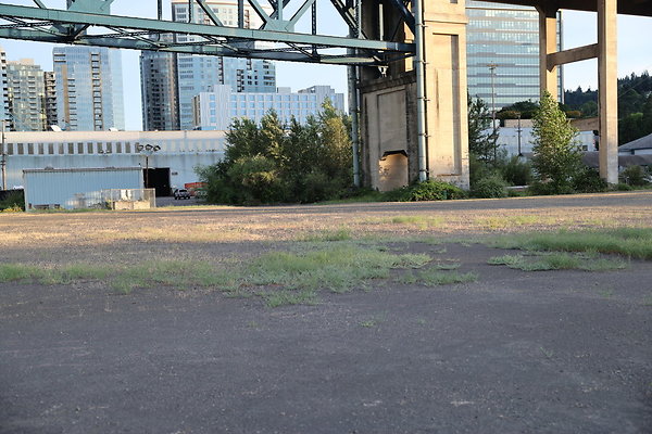 Zidell Field North 026
