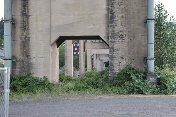 Zidell Field North 137