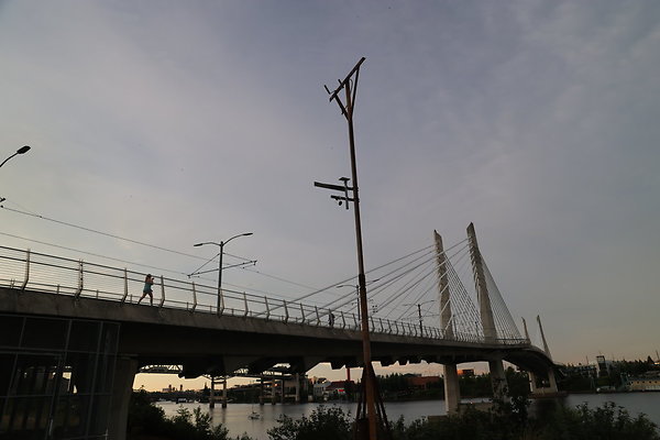 Zidell Field North 242