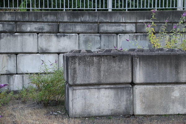 Zidell Field North 354