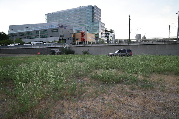 Zidell Field North 270