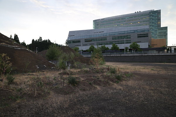 Zidell Field North 325