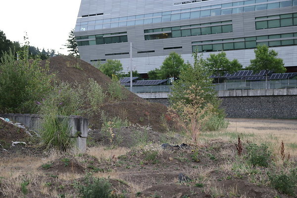 Zidell Field North 327