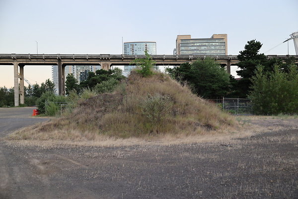 Zidell Field North 314