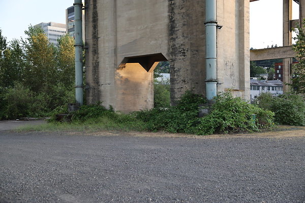 Zidell Field North 114