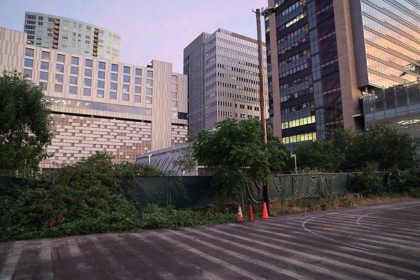 Zidell Yard South 119