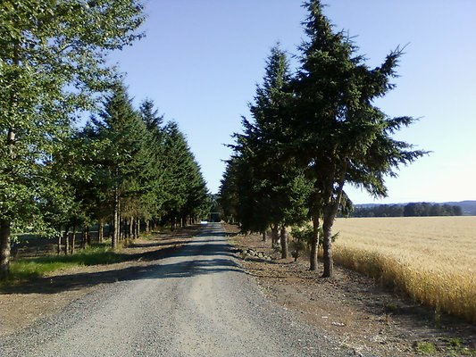 1031071779053586 5096186997338900889 n