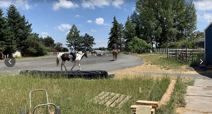 11 Avalon Management 30 Minutes