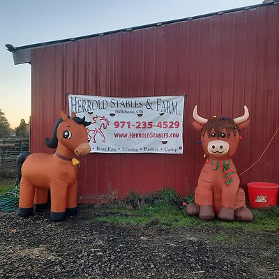 00K0K kVSF72boq9s 0t20t2 1200x900