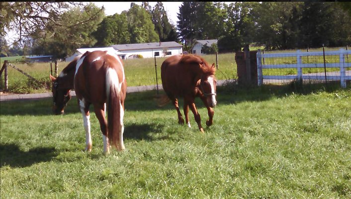 Screenshot 2025-06-14 at 12.59.55 PM