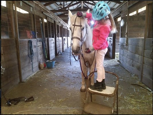 Screenshot 2025-06-14 at 1.00.32 PM