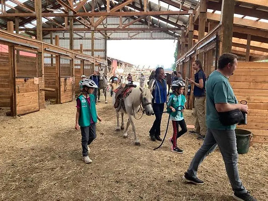 girl-scout-badge-day3