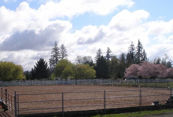 00W0W llVEryPJCje 09806b 1200x900