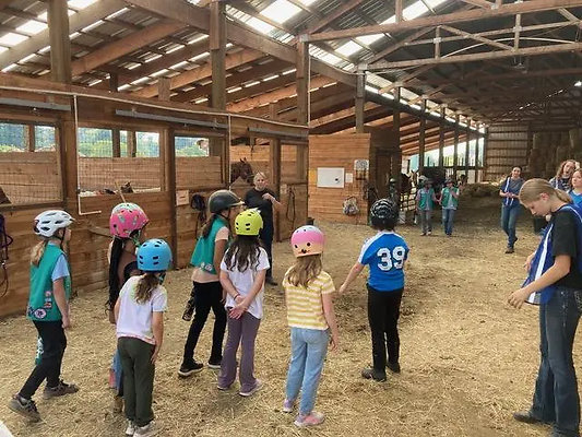 Girl-scout-badge-day1