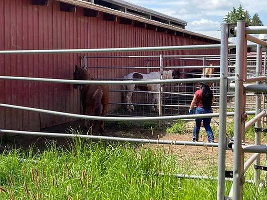 TOM-2025-Liane-KOA-1