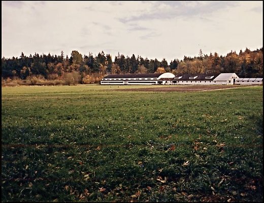 Screenshot 2025-06-14 at 7.06.14 PM