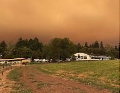 screen-shot-2021-02-23-at-4.35.16-pm