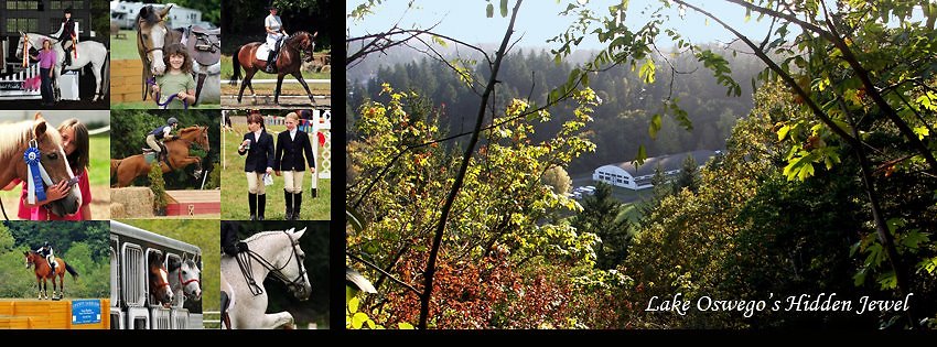 1271623557687900 2576141020594140269 n