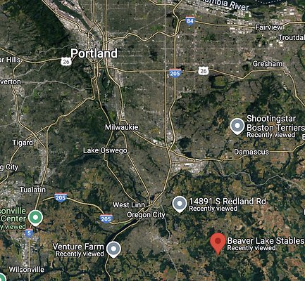 Screenshot 2025-06-14 at 6.07.44 PM