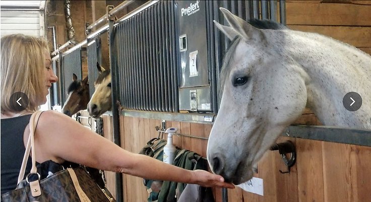 Screenshot 2025-06-14 at 6.10.09 PM