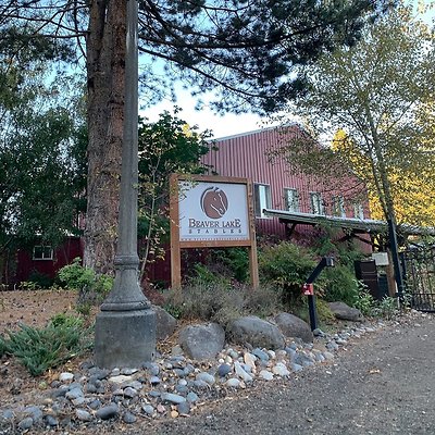 496403705825457 4176517856766856780 n