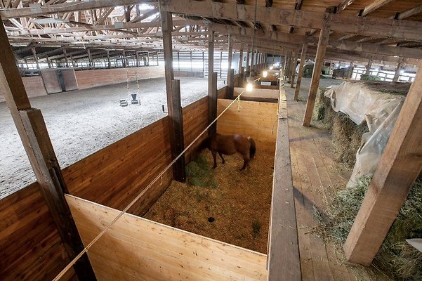 Screenshot 2025-06-14 at 10.11.10 AM