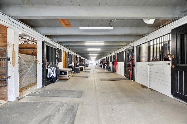 Screenshot 2025-06-14 at 10.11.51 AM