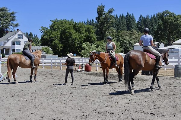 31 Venture Farm 30 Minutes