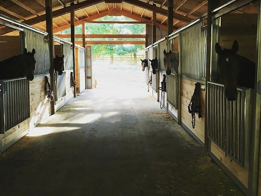 Screenshot 2025-06-14 at 1.49.34 PM