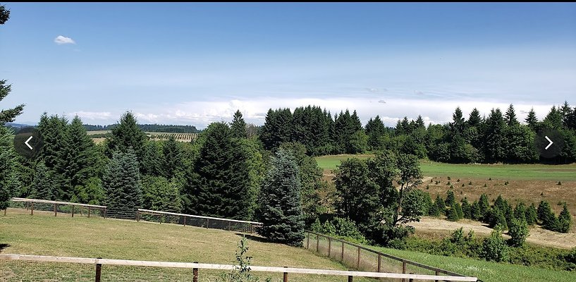 Screenshot 2025-06-14 at 1.48.10 PM