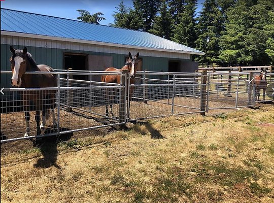 Screenshot 2025-06-14 at 1.47.52 PM