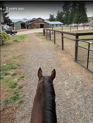 Screenshot 2025-06-14 at 1.47.30 PM