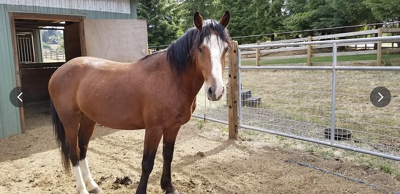 Screenshot 2025-06-14 at 1.48.25 PM