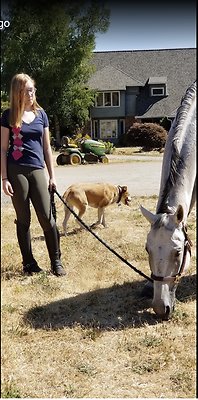 Screenshot 2025-06-14 at 1.47.39 PM