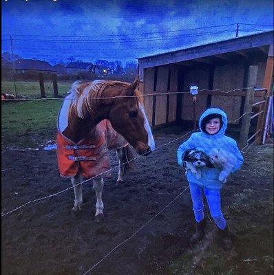 Screenshot 2025-06-14 at 3.25.24 PM