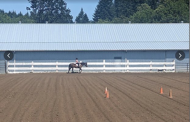 Screenshot 2025-06-14 at 3.27.39 PM