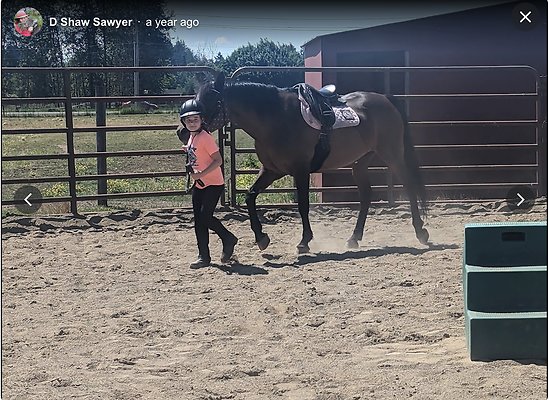 Screenshot 2025-06-14 at 3.28.47 PM