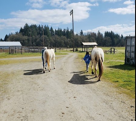 Screenshot 2025-06-14 at 3.26.09 PM