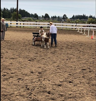 Screenshot 2025-06-14 at 3.26.39 PM