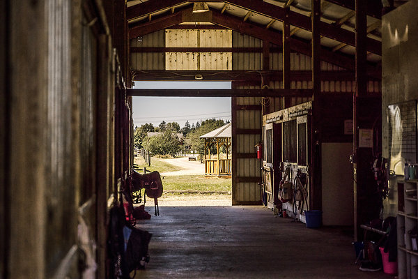 SBYEC-Marketing-for-Website-256