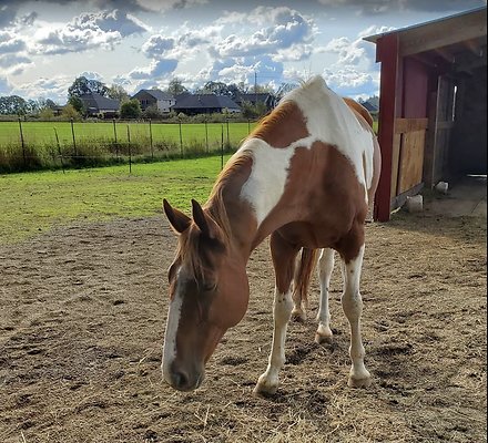 Screenshot 2025-06-14 at 3.25.51 PM