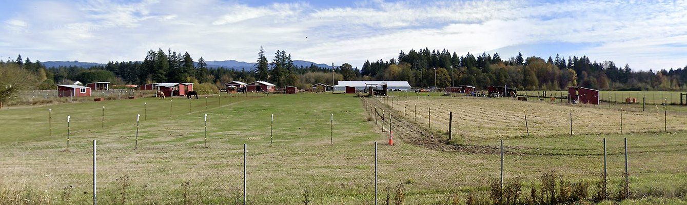 Screenshot 2025-06-14 at 3.23.12 PM