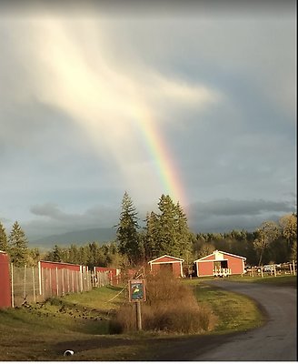 Screenshot 2025-06-14 at 3.27.03 PM