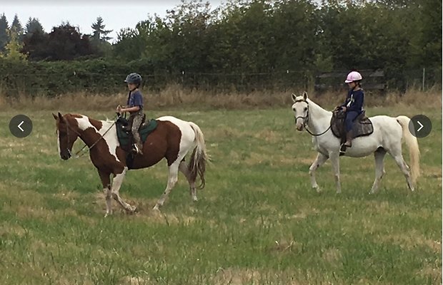 Screenshot 2025-06-14 at 3.26.25 PM