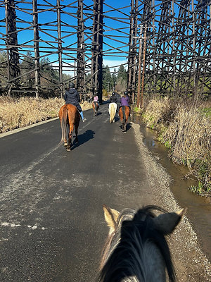 047d878d0ceaefefc21d71de8c89eb55