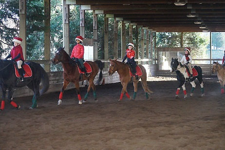 b12c7ddb05b4dc2973cbedf8530d7b25