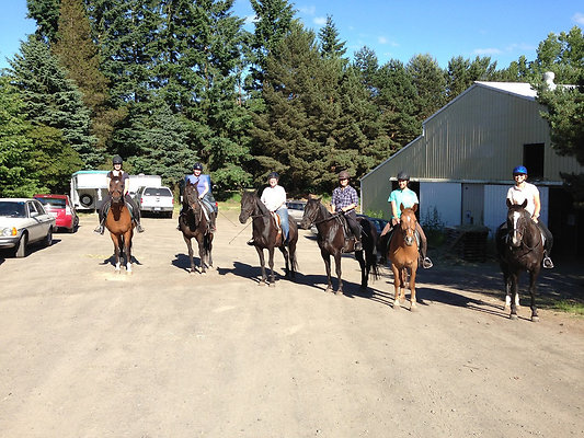 bf363bf6db988a3d7e34b3f47e57a467