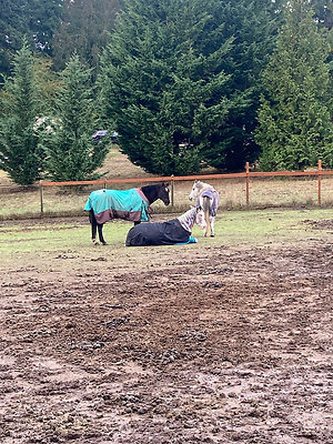 be5cd03fc24758ac096b5457428ae043