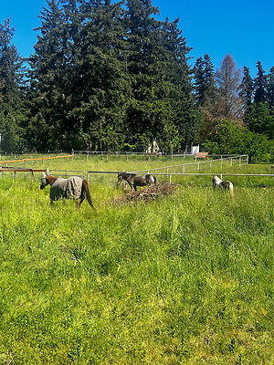 c7144b278bc25f3a2984826131fe9006